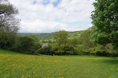 Yeşil tarım arazisinin manzarası ve kırsal kesimdeki güzel bir vadide bir orman.