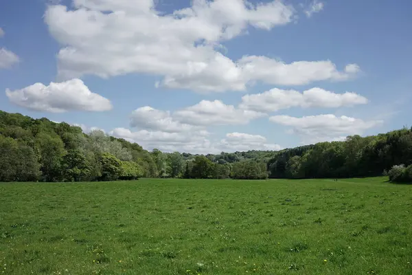 Scenic Landscape View Open Spacious Lush Green Farm Field Clear — Stock Photo, Image