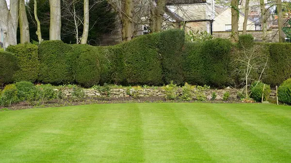 Scenic View Beautiful English Style Landscape Garden Lush Grass Lawn — Stock Photo, Image