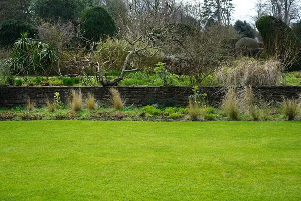 Vista Panorámica Hermoso Jardín Paisajístico Estilo Inglés Con Césped Hierba — Foto de Stock