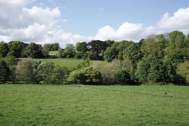 Uçsuz bucaksız, yemyeşil bir çiftlik arazisinin manzarası ve bir yaz günü mavi bulutlu gökyüzü.