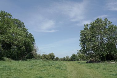 Uçsuz bucaksız yeşil tarım arazilerinin manzarası ve üzerinde beyaz kabarık bulutlarla mavi gökyüzü.