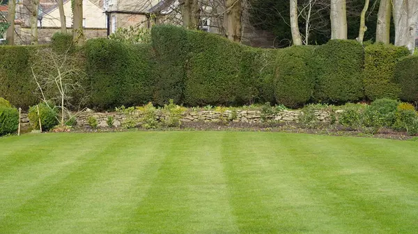 Scenic View Beautiful English Style Landscape Garden Freshly Mowed Striped — Stock Photo, Image