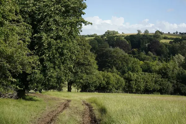 Scenic Landscape View Open Spacious Lush Green Farm Fields Blue — Stock Photo, Image