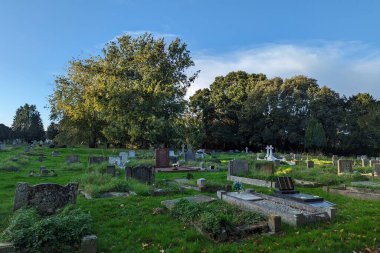 Güneşli bir günde eski mezarlık ve yeşil ağaçlar