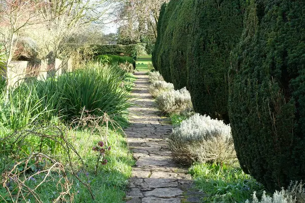 Scénický Letní Pohled Kamenitou Dlážděnou Cestu Atraktivní Anglickou Zahradou Barevnými Stock Obrázky