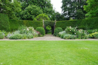 Çekici bir İngiliz tarzının manzarası. Geniş bir bahçe. Taze çimenleri biçilmiş.