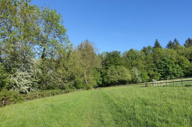Uçsuz bucaksız, yemyeşil bir çiftlik arazisinin manzarası ve bir yaz günü mavi bulutlu gökyüzü.