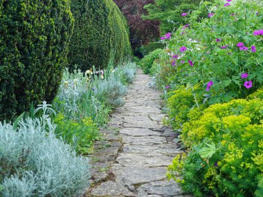 Çekici bir İngiliz stili bahçesinde yeşil yapraklı ve çiçek açan bir taşın manzaralı yaz manzarası.