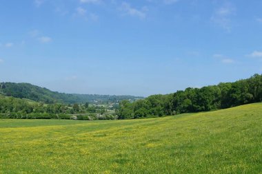 Sarı çiçekli, yeşil bir vadideki yeşil bir tarlanın manzarası ve yukarısında mavi bir gökyüzü. Yani İngiltere 'deki Bath yakınlarındaki Wiltshire Somerset sınırındaki Avon Vadisi.