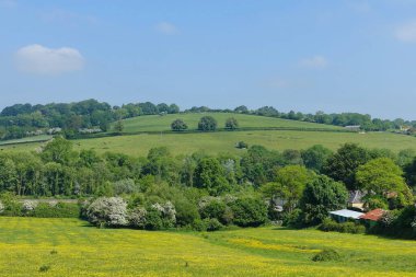Sarı çiçekli, yeşil bir vadideki yeşil bir tarlanın manzarası ve yukarısında mavi bir gökyüzü. Yani İngiltere 'deki Bath yakınlarındaki Wiltshire Somerset sınırındaki Avon Vadisi.