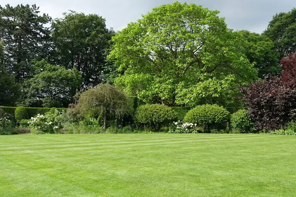 Scenic View Attractive English Style Spacious Landscape Garden Fresh Grass Royalty Free Stock Images