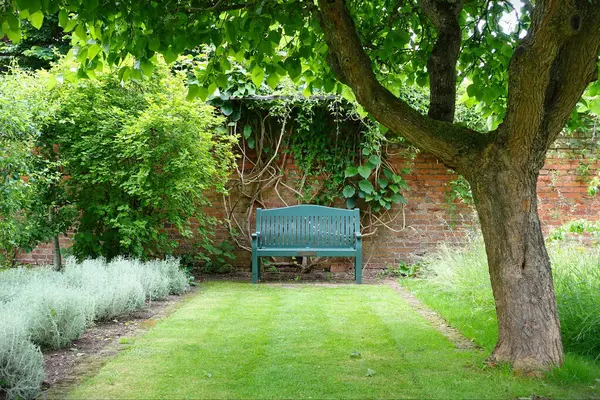 화려한 잔디에 아름다운 스타일의 정원에서 Topiary 사이에 벤치의 스톡 사진