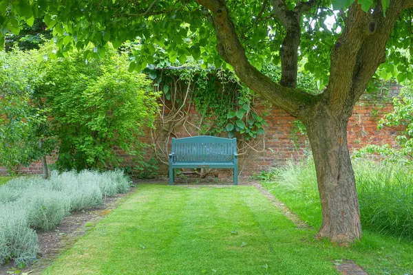 Scénický Pohled Dřevěnou Lavici Mezi Topiary Živý Plot Krásném Anglickém Royalty Free Stock Obrázky