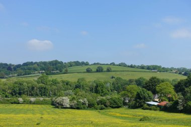 Sarı çiçekli, yeşil bir vadideki yeşil bir tarlanın manzarası ve yukarısında mavi bir gökyüzü. Yani İngiltere 'deki Bath yakınlarındaki Wiltshire Somerset sınırındaki Avon Vadisi.
