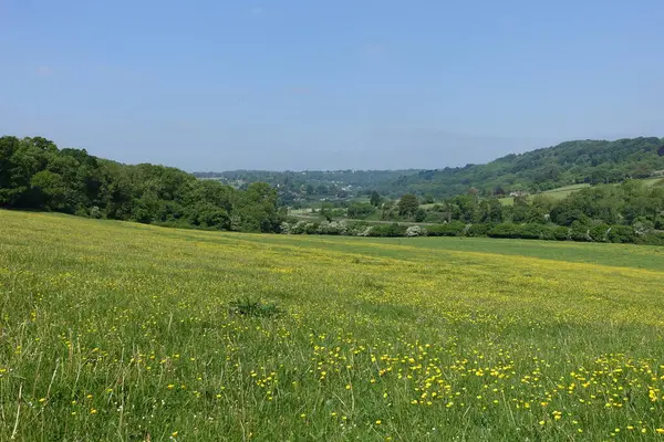 黄色いバターカップの花と上空の青い空の谷にある緑地の風景 すなわちイギリスのバース近くのウィルトシャー サマセットのアヴォン渓谷 — ストック写真