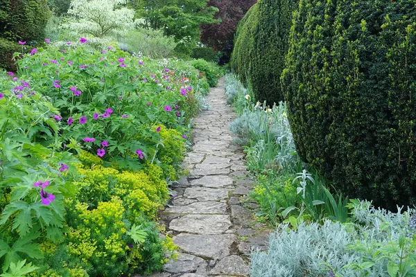 Scenic Summertime View Stone Paved Path Attractive English Style Garden — Stock Photo, Image