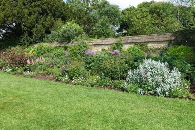 Çekici bir İngiliz tarzının manzarası. Geniş bir bahçe. Taze çimenleri biçilmiş.