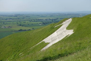 Westbury Beyaz Atı 'nın Salisbury Ovası' ndaki manzarası İngiltere kırsalında bir yaz günü
