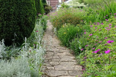 Çekici bir İngiliz stili bahçesinde yeşil yapraklı ve çiçek açan bir taşın manzaralı yaz manzarası.
