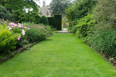 Güneşli bir yaz gününde yukarısı aydınlık gökyüzü olan bir kasaba parkında çimenlik alanda oynayan ferah yemyeşil bir manzaranın manzarası.