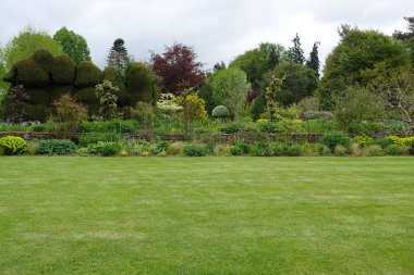 Güneşli bir yaz gününde yukarısı aydınlık gökyüzü olan bir kasaba parkında çimenlik alanda oynayan ferah yemyeşil bir manzaranın manzarası.