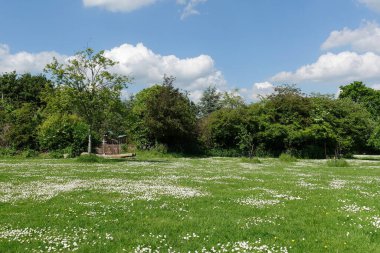 Çiçekli bir vadide yeşil bir tarlanın manzarası ve yukarısında mavi bir gökyüzü. Yani İngiltere 'deki Bath yakınlarındaki Wiltshire Somerset sınırındaki Avon Vadisi.