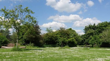 Çiçekli bir vadide yeşil bir tarlanın manzarası ve yukarısında mavi bir gökyüzü. Yani İngiltere 'deki Bath yakınlarındaki Wiltshire Somerset sınırındaki Avon Vadisi.