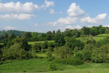 Sarı çiçekli, yeşil bir vadideki yeşil bir tarlanın manzarası ve yukarısında mavi bir gökyüzü. Yani İngiltere 'deki Bath yakınlarındaki Wiltshire Somerset sınırındaki Avon Vadisi.