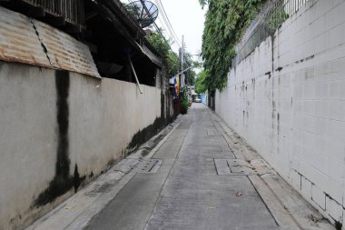 Dar bir köy yolunun manzarası - seyahat ve doğa temalı fotoğraf renkli