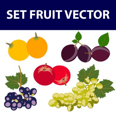 Set of fruits and berries, apple, grape, glossy cartoon vector illustration