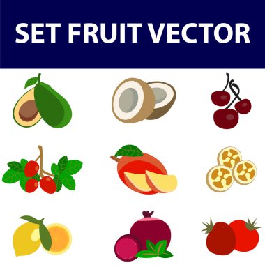 Set of colorful cartoon fruit, avocado, mangosteen, Dragon fruit, grape, durian, passion fruit, mango,date palm,guava isolated on whitebackground. Set of fruit vector.