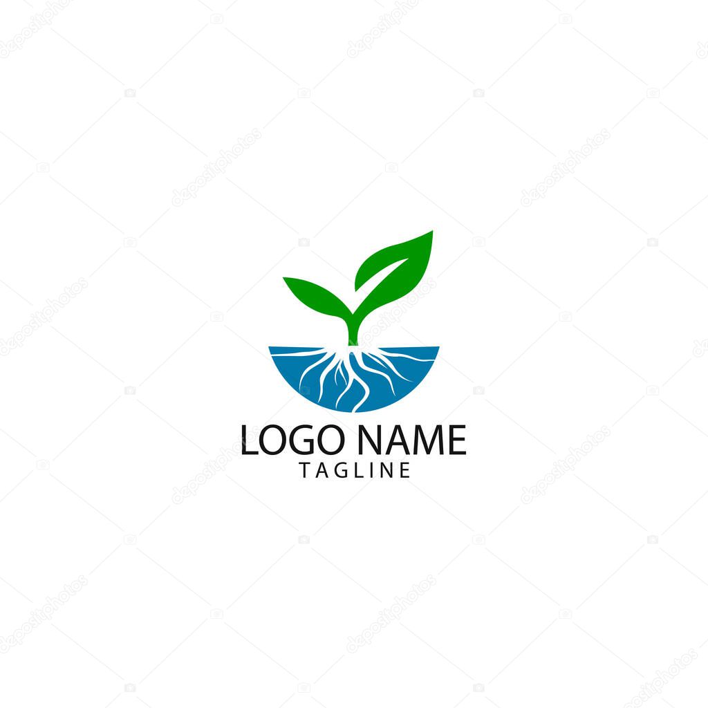 Root tree logo design vector