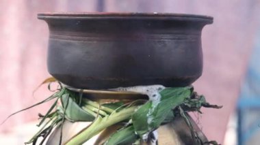 Geleneksel Tayland Pongal Festivali 'ni esrar, lamba, odun sobası, meyve ve şeker kamışı ile kutluyoruz..