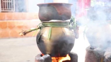 Geleneksel Tayland Pongal Festivali 'ni esrar, lamba, odun sobası, meyve ve şeker kamışı ile kutluyoruz..