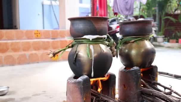 ポット ランプ 薪ストーブ 果物やサトウキビと太陽の神に伝統的なタイのポンガル祭りを祝う — ストック動画