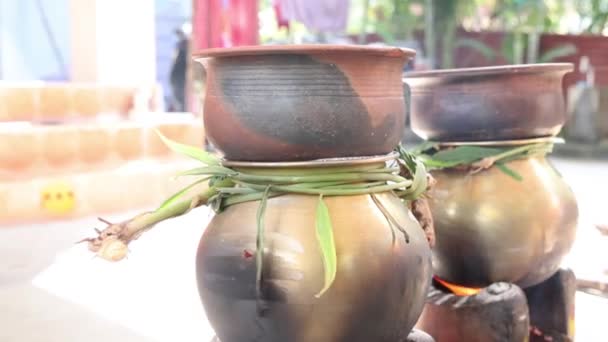 Γιορτάζει Παραδοσιακή Ταϊλανδέζικη Pongal Φεστιβάλ Στον Θεό Ήλιο Κατσαρόλα Λάμπα — Αρχείο Βίντεο