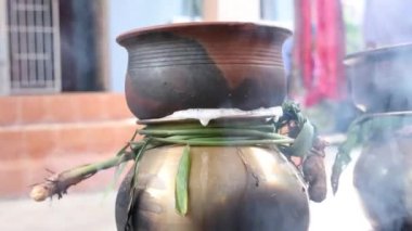 Geleneksel Tayland Pongal Festivali 'ni esrar, lamba, odun sobası, meyve ve şeker kamışlarıyla kutluyoruz. Geleneksel yöntemle kumda Sakkarai veya şeker pongal ve ven pongal yapmak.