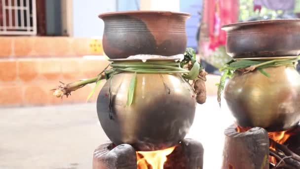 ランプ 薪ストーブ 果物やサトウキビと太陽の神に伝統的なタイのポンガル祭りを祝う 伝統的な製法では 砂ストーブの中で酒米や砂糖ポンポン さらにはポンポンを作ること — ストック動画