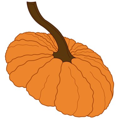 hand-drawn illustration of a pumpkin with a leaf. isolated on white background.