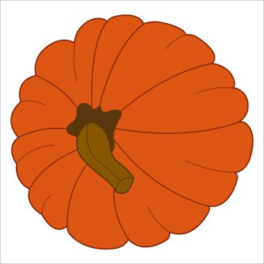 hand-drawn illustration of a pumpkin with a leaf. isolated on white background.