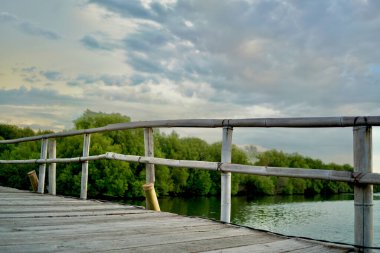 Coastal area with clear sky and dense mangrove vegetation on the background. The glimpse of clear ocean make an appearance within the frame. Photographed during golden hour.
