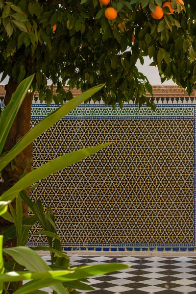 Stunning mosaic tiles from Marrakech, Morocco create a kaleidoscope of colors and patterns, captivating the eye and transporting you to another world. Each piece carefully placed to tell a unique story.