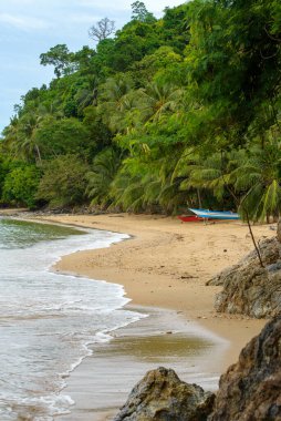 This photo captures the essence of the Philippines, with a traditional wooden boat bobbing on crystal-clear turquoise waters, surrounded by lush green tropical foliage. 
