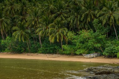 This photo captures the essence of the Philippines, with a traditional wooden boat bobbing on crystal-clear turquoise waters, surrounded by lush green tropical foliage. 