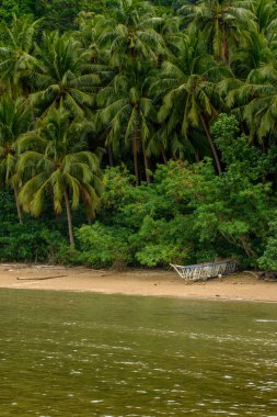 This photo captures the essence of the Philippines, with a traditional wooden boat bobbing on crystal-clear turquoise waters, surrounded by lush green tropical foliage. 