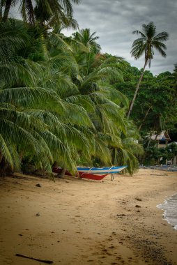This photo captures the essence of the Philippines, with a traditional wooden boat bobbing on crystal-clear turquoise waters, surrounded by lush green tropical foliage. 