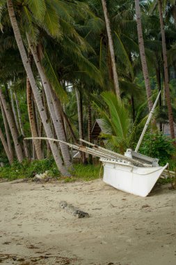 This photo captures the essence of the Philippines, with a traditional wooden boat bobbing on crystal-clear turquoise waters, surrounded by lush green tropical foliage. 