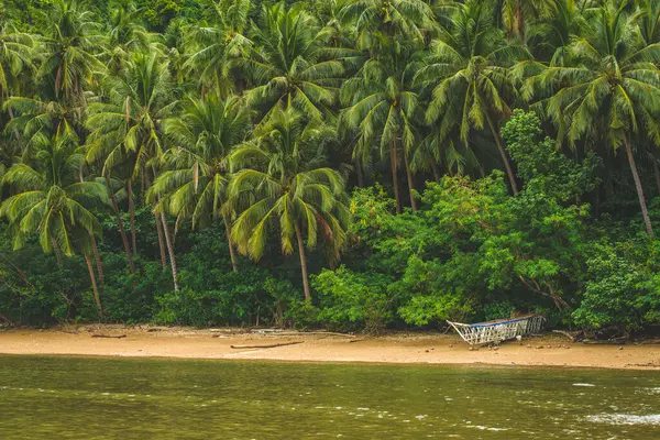 This photo captures the essence of the Philippines, with a traditional wooden boat bobbing on crystal-clear turquoise waters, surrounded by lush green tropical foliage. 