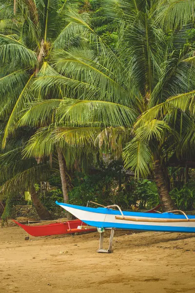 This photo captures the essence of the Philippines, with a traditional wooden boat bobbing on crystal-clear turquoise waters, surrounded by lush green tropical foliage. 